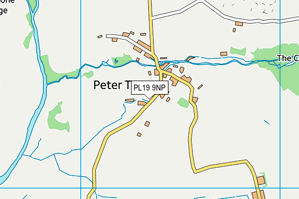 PL19 9NP map - OS VectorMap District (Ordnance Survey)