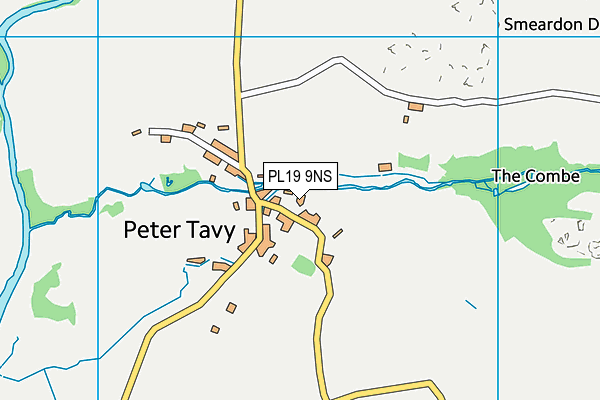 PL19 9NS map - OS VectorMap District (Ordnance Survey)