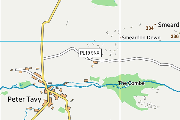 PL19 9NX map - OS VectorMap District (Ordnance Survey)