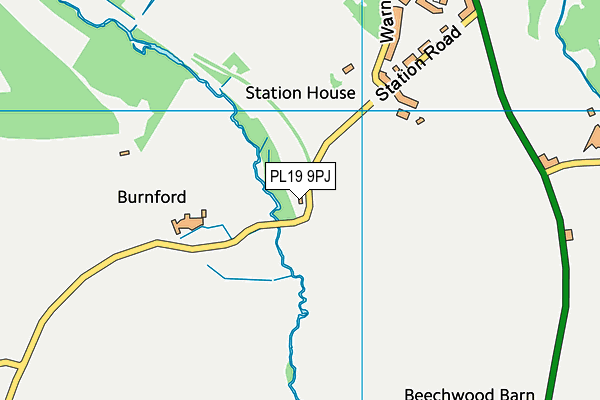 PL19 9PJ map - OS VectorMap District (Ordnance Survey)