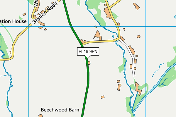 PL19 9PN map - OS VectorMap District (Ordnance Survey)