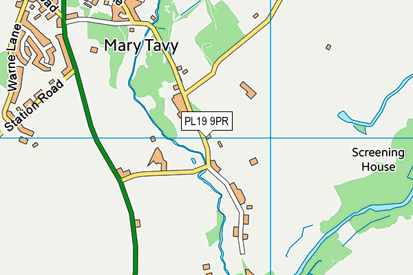 Mary Tavy & Brentor School map (PL19 9PR) - OS VectorMap District (Ordnance Survey)