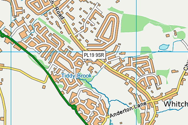 Whitchurch Community Primary School map (PL19 9SR) - OS VectorMap District (Ordnance Survey)