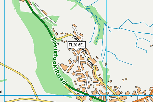 PL20 6EJ map - OS VectorMap District (Ordnance Survey)