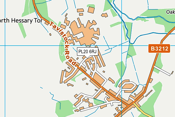 PL20 6RJ map - OS VectorMap District (Ordnance Survey)