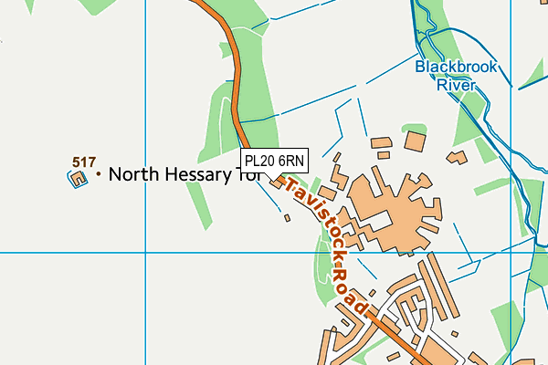 PL20 6RN map - OS VectorMap District (Ordnance Survey)