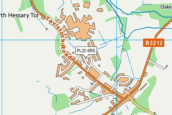 PL20 6RS map - OS VectorMap District (Ordnance Survey)