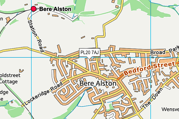 PL20 7AJ map - OS VectorMap District (Ordnance Survey)