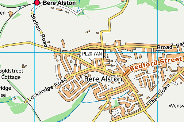 PL20 7AN map - OS VectorMap District (Ordnance Survey)