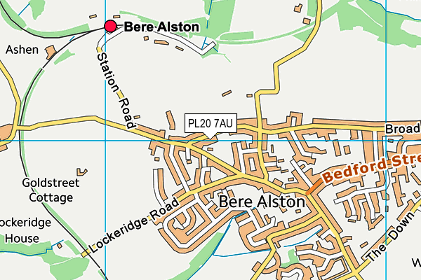 Bere Alston Primary School map (PL20 7AU) - OS VectorMap District (Ordnance Survey)