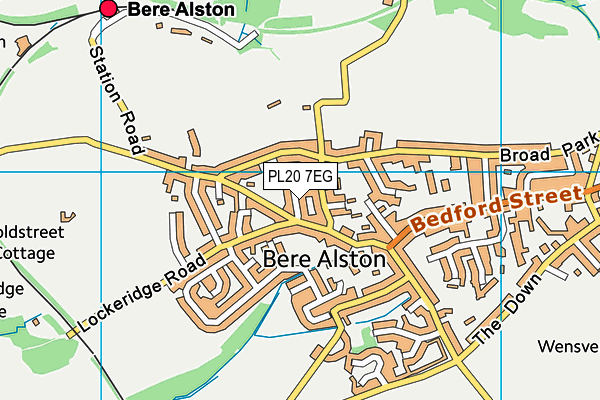 PL20 7EG map - OS VectorMap District (Ordnance Survey)