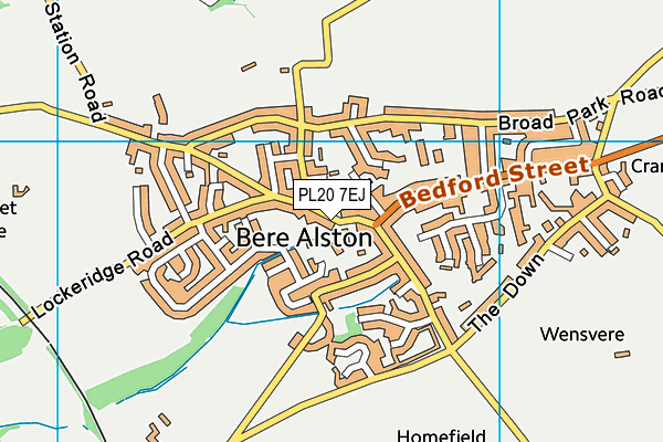 PL20 7EJ map - OS VectorMap District (Ordnance Survey)