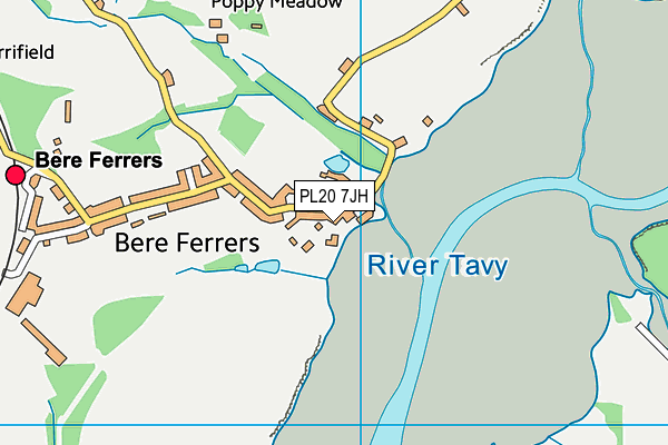 PL20 7JH map - OS VectorMap District (Ordnance Survey)