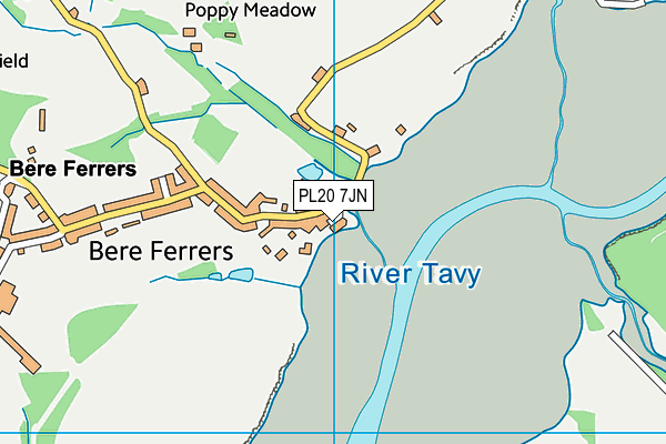 PL20 7JN map - OS VectorMap District (Ordnance Survey)