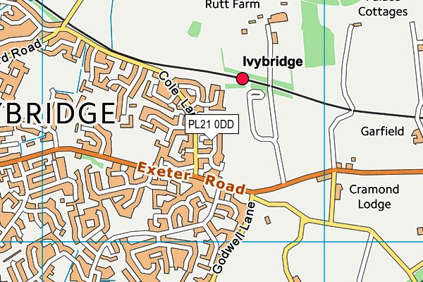 PL21 0DD map - OS VectorMap District (Ordnance Survey)