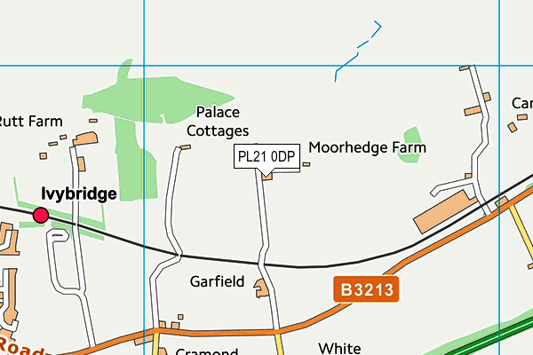 PL21 0DP map - OS VectorMap District (Ordnance Survey)