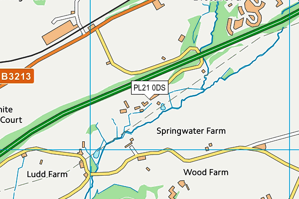 PL21 0DS map - OS VectorMap District (Ordnance Survey)