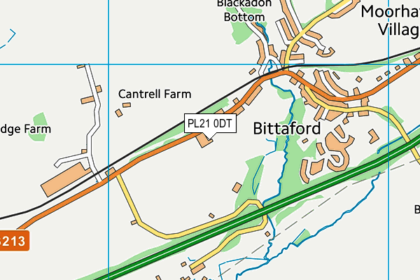 PL21 0DT map - OS VectorMap District (Ordnance Survey)