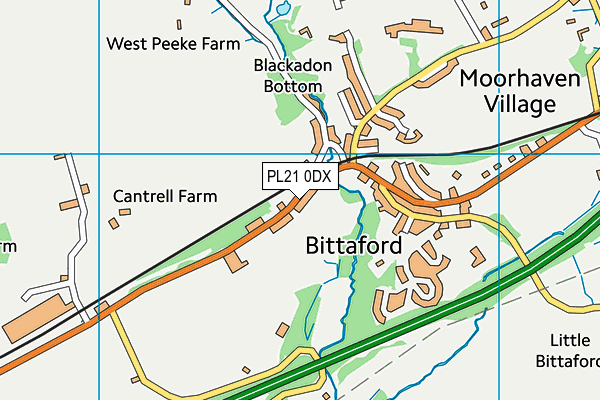 PL21 0DX map - OS VectorMap District (Ordnance Survey)