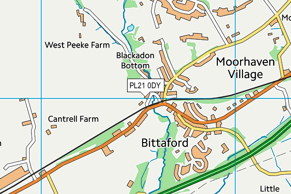 PL21 0DY map - OS VectorMap District (Ordnance Survey)