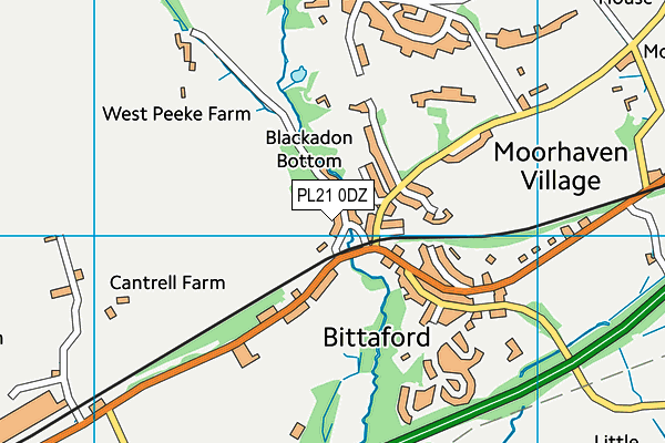 PL21 0DZ map - OS VectorMap District (Ordnance Survey)