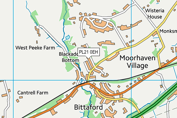 PL21 0EH map - OS VectorMap District (Ordnance Survey)