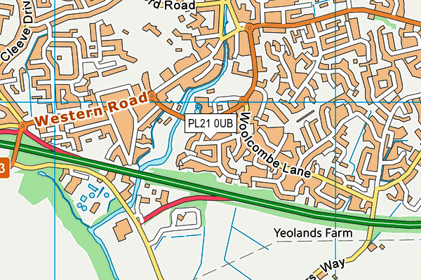 PL21 0UB map - OS VectorMap District (Ordnance Survey)