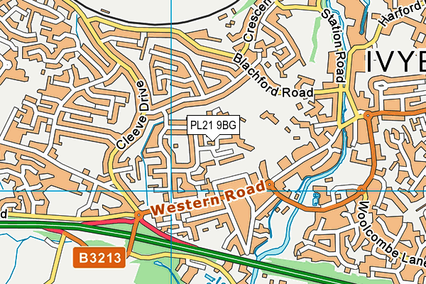 Manor Primary School map (PL21 9BG) - OS VectorMap District (Ordnance Survey)