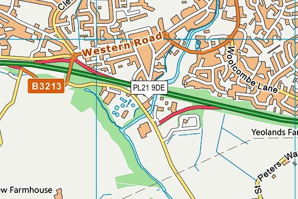 PL21 9DE map - OS VectorMap District (Ordnance Survey)