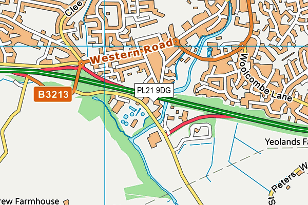 PL21 9DG map - OS VectorMap District (Ordnance Survey)