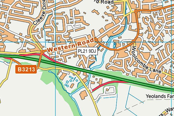 PL21 9DJ map - OS VectorMap District (Ordnance Survey)