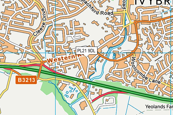 PL21 9DL map - OS VectorMap District (Ordnance Survey)