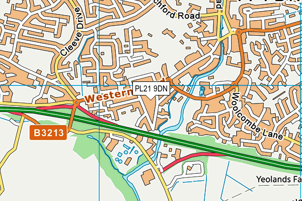 PL21 9DN map - OS VectorMap District (Ordnance Survey)