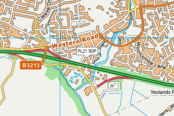 PL21 9DP map - OS VectorMap District (Ordnance Survey)