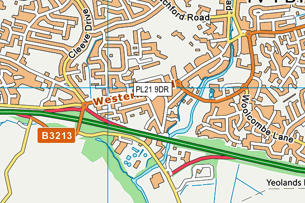 PL21 9DR map - OS VectorMap District (Ordnance Survey)