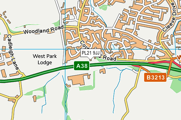 PL21 9JJ map - OS VectorMap District (Ordnance Survey)