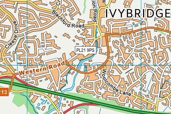 PL21 9PS map - OS VectorMap District (Ordnance Survey)