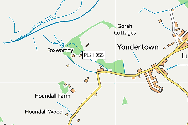 PL21 9SS map - OS VectorMap District (Ordnance Survey)