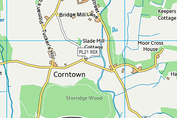 PL21 9SX map - OS VectorMap District (Ordnance Survey)