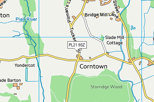 PL21 9SZ map - OS VectorMap District (Ordnance Survey)