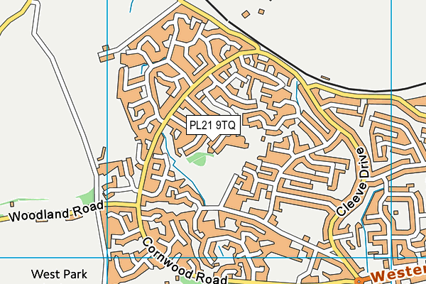 PL21 9TQ map - OS VectorMap District (Ordnance Survey)