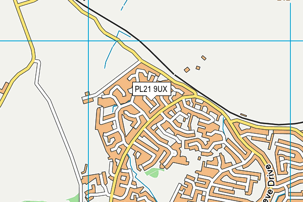 PL21 9UX map - OS VectorMap District (Ordnance Survey)