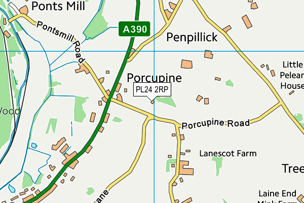 PL24 2RP map - OS VectorMap District (Ordnance Survey)