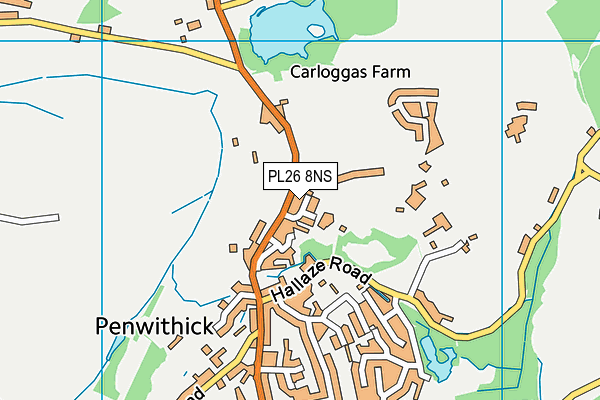 PL26 8NS map - OS VectorMap District (Ordnance Survey)