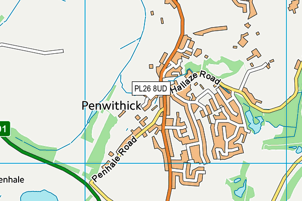 PL26 8UD map - OS VectorMap District (Ordnance Survey)