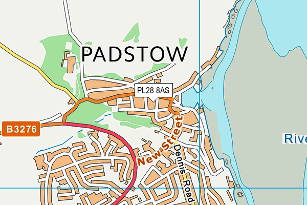 PL28 8AS map - OS VectorMap District (Ordnance Survey)