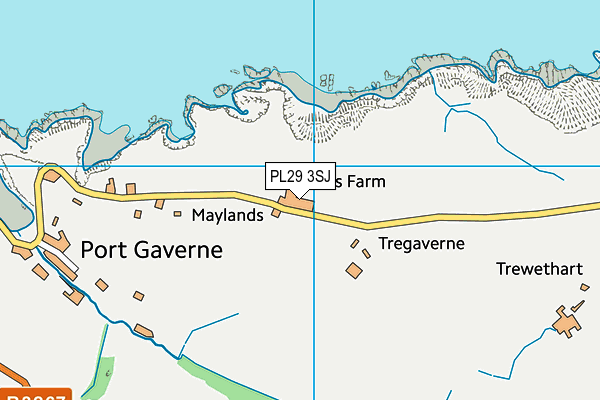 PL29 3SJ map - OS VectorMap District (Ordnance Survey)