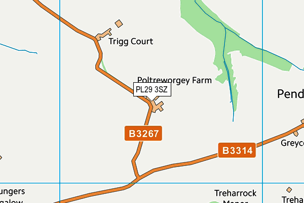 PL29 3SZ map - OS VectorMap District (Ordnance Survey)