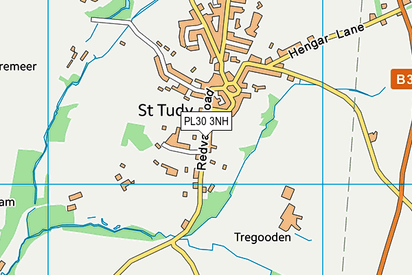St Tudy CofE Primary School map (PL30 3NH) - OS VectorMap District (Ordnance Survey)
