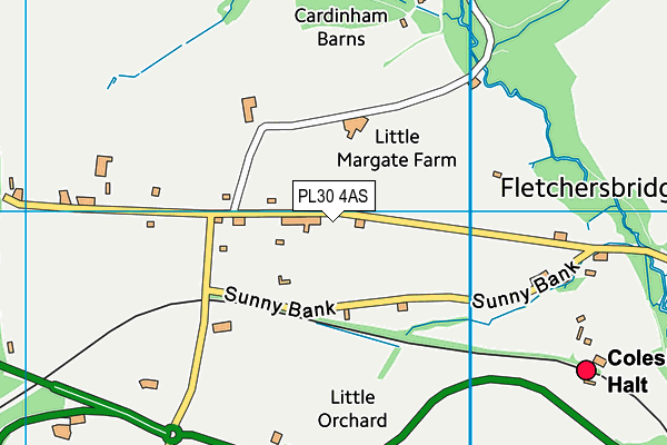 PL30 4AS map - OS VectorMap District (Ordnance Survey)